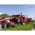 Forestry Semi Wood Trailer With Stake